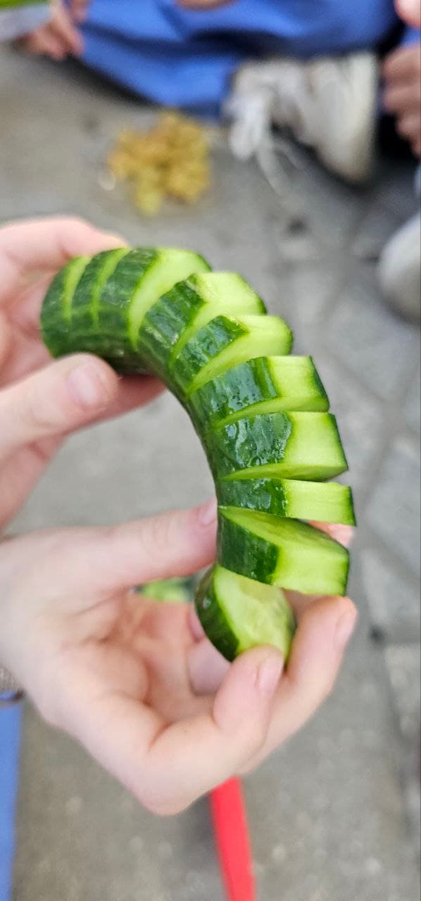 پیش دبستان و دبستان غیردولتی تابان