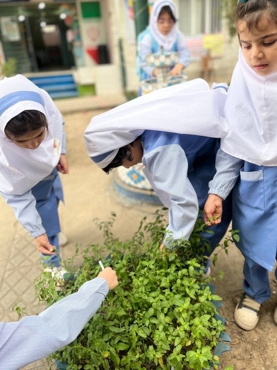 پیش دبستان و دبستان غیردولتی تابان